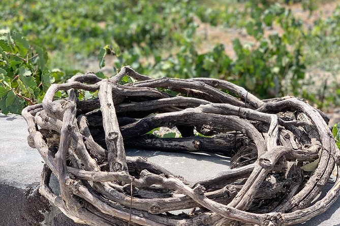Private Wine Tour on Santorini Local Wines and Sunset Views - Estate Argyros, where Santorini’s grapes get explained clearly