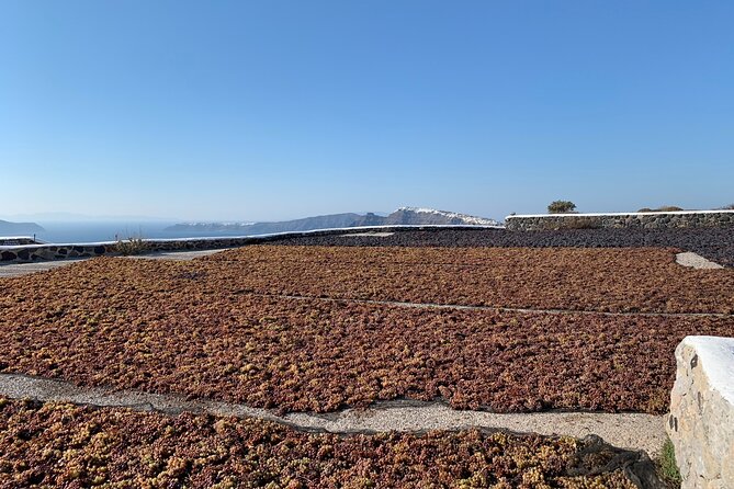 Private Wine Tour on Santorini Local Wines and Sunset Views - The Caldera sunset stop, a dedicated hour for the main event