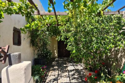 Sanotini Oia Wine Tasting and Local Places Half Day Tour