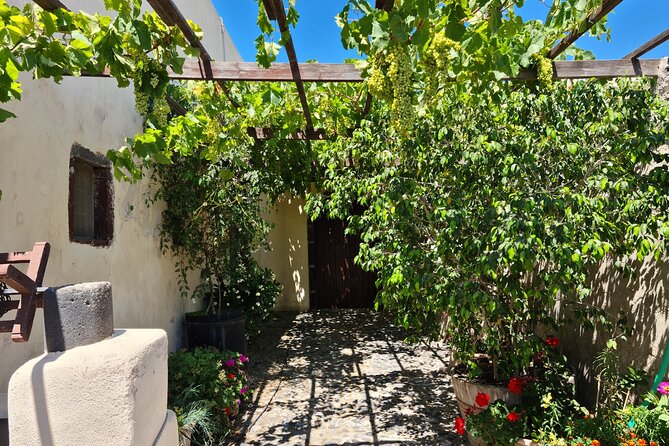Sanotini Oia Wine Tasting and Local Places Half Day Tour - Stop 2: Art Space Museum in a Pumice-Carved Winery