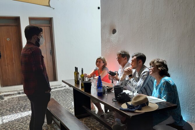 Santorini 3 and half Hour Wine Tour Day/Sunset - What You Actually Learn From Two Winery Stops