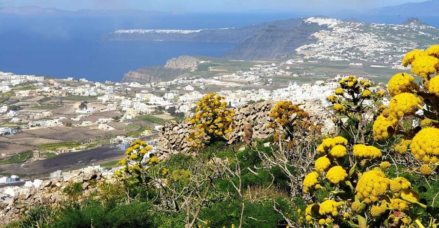 Santorini: 4hr Private Accessible Panoramic Views Tour - Why this private panoramic loop works on Santorini