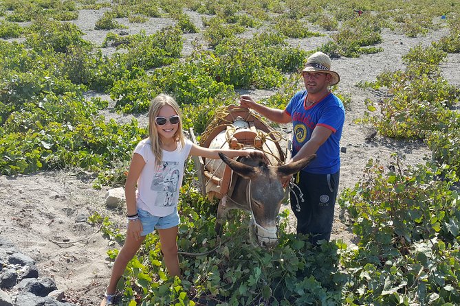 Santorini: 4hr Private Wine Tasting Tour - Stop 3: Domaine Sigalas, the last hour that can stick with you