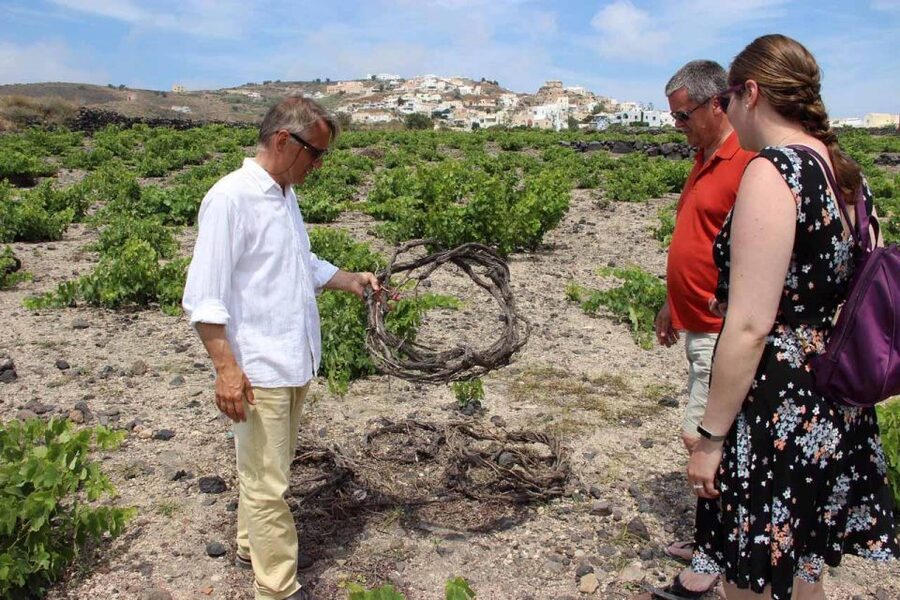 Santorini: 5-Hour Private Wine Tour - Is $353 Per Person Good Value?