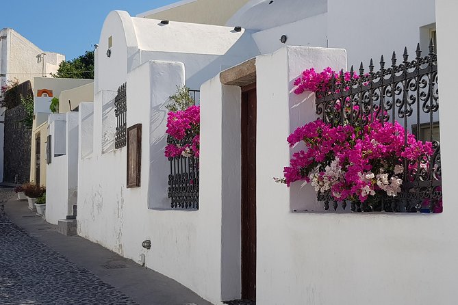 Santorini: 6hr Small Group Shore Excursion Villages & Wine - Tips to make the day feel better in real life