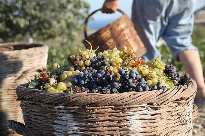 Santorini All Inclusive Full Day Private Tour - Oia: the village stop that wants you to slow down