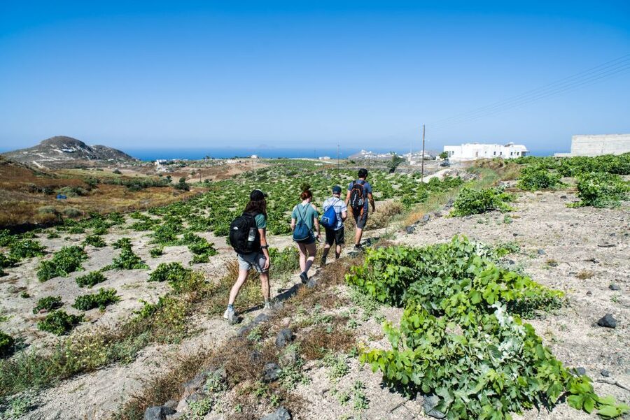Santorini: Cooking Class and Easy Hike - How to get the most from your guides and your day