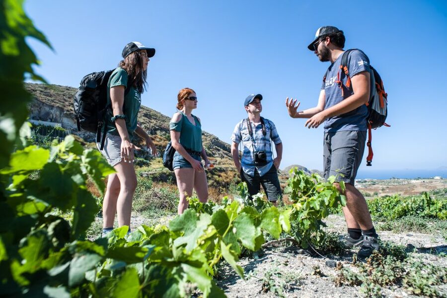 Santorini: Cooking Class and Easy Hike - Price and value: what you get for $182