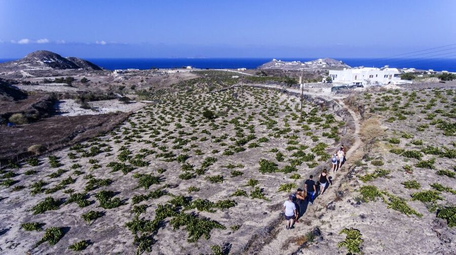 Santorini: Cooking Class and Easy Hike - What to pack for a smooth, comfortable day