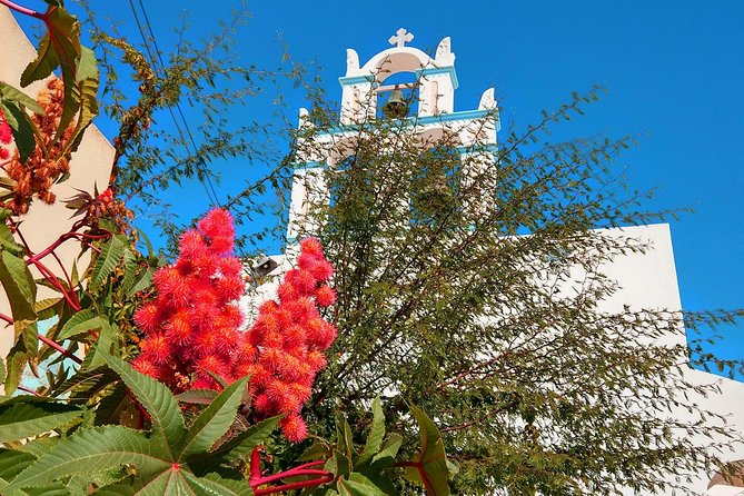 Santorini Day Tour with Sunset in Oia - Emporio village walk: medieval lanes and real local texture
