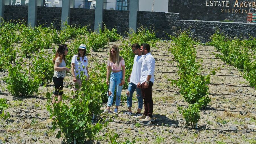 Santorini: Explore Southern Part with Wine Tasting - The half-day flow: villages, viewpoints, and a wine tasting stop