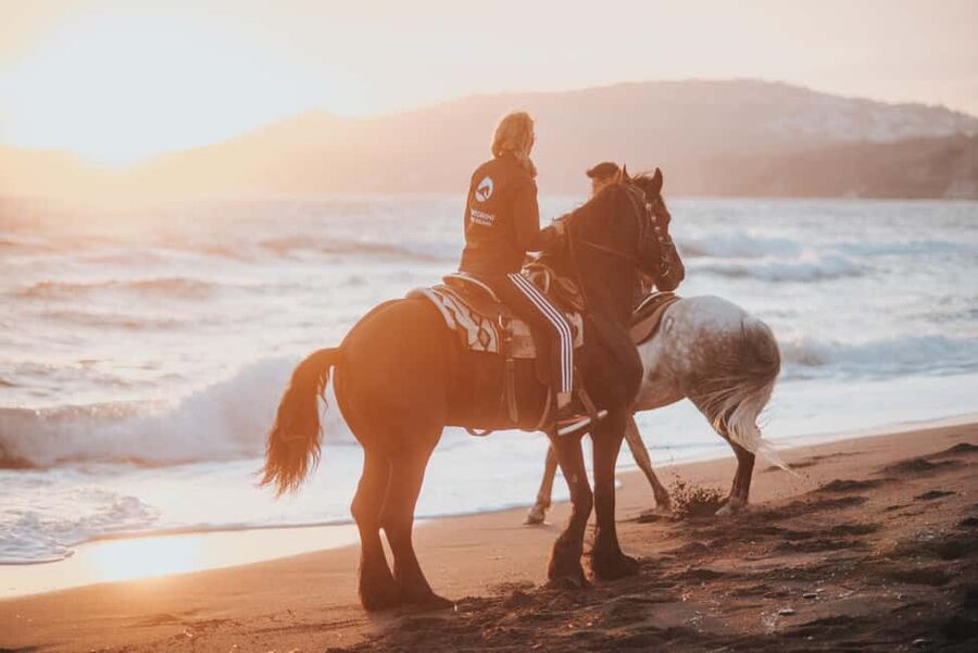 Santorini: Extreme Horse Safari with Beach Gallop - Key Points You Actually Care About