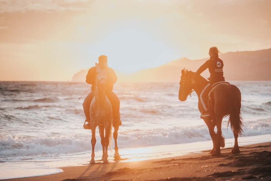 Santorini: Extreme Horse Safari with Beach Gallop - From Vineyards to Eros Beach: How the Morning Builds Momentum