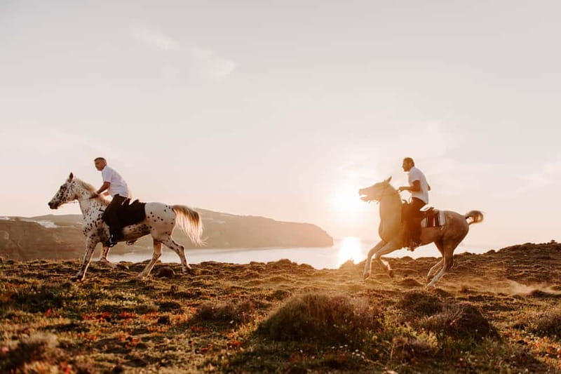 Santorini: Extreme Horse Safari with Beach Gallop - The Return to Megalochori: A Town Trot and Those Little Extras
