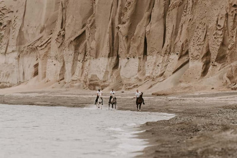 Santorini: Extreme Horse Safari with Beach Gallop - Horses, Care, and the Safety Culture Behind the Fun