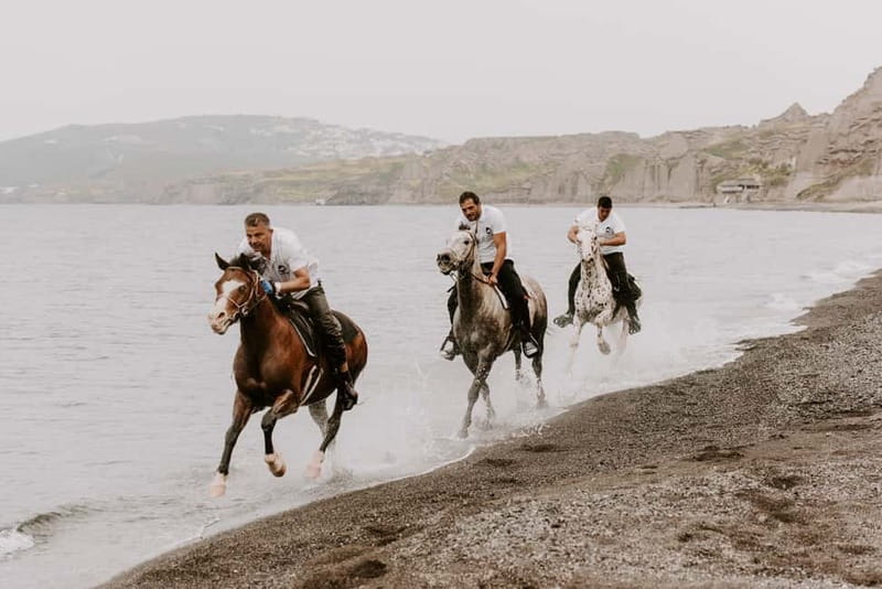 Santorini: Extreme Horse Safari with Beach Gallop - Who This Extreme Horse Safari Is For (and Who Should Skip It)