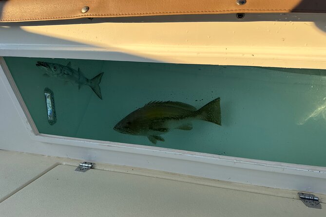 Santorini Fishing Private Cruise boat tour - BBQ, Snorkeling - Price and value: what $514.18 per person actually buys
