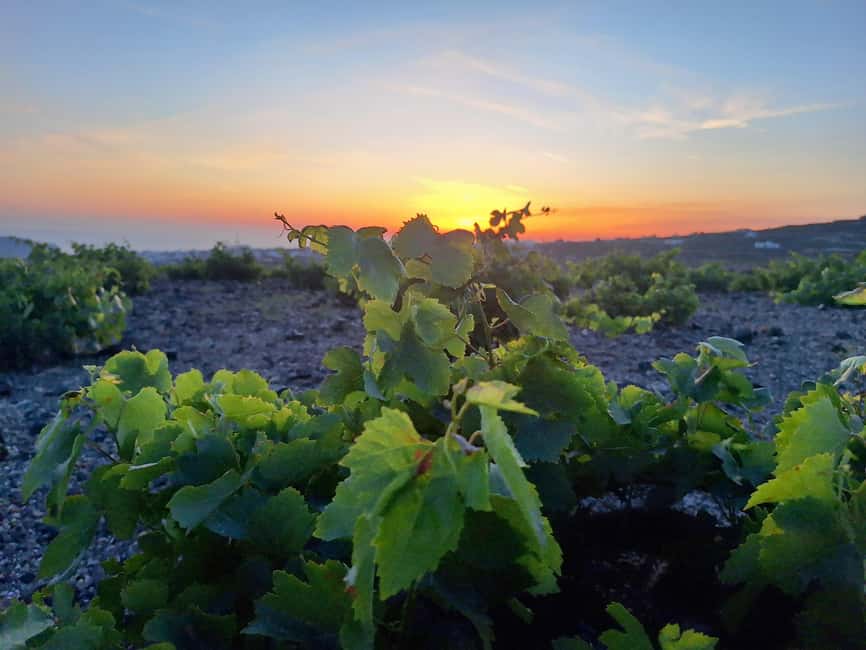 Santorini: From Reel to Real – Private Tour of Hidden Gems - Imerovígli, Firostefani, and Profitis Ilias: Quick Viewpoints That Matter