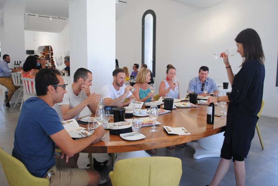 Santorini: Guided Wine Tour with Pickup and Snacks - Estate Argyros: where vineyard scale becomes part of the story
