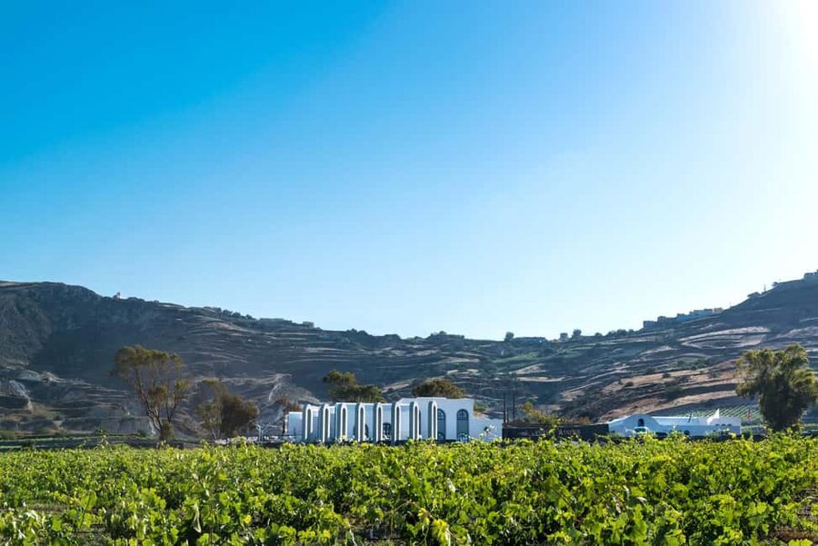 Santorini: Guided Wine Tour with Pickup and Snacks - Up to 16 wines: what you can expect to taste