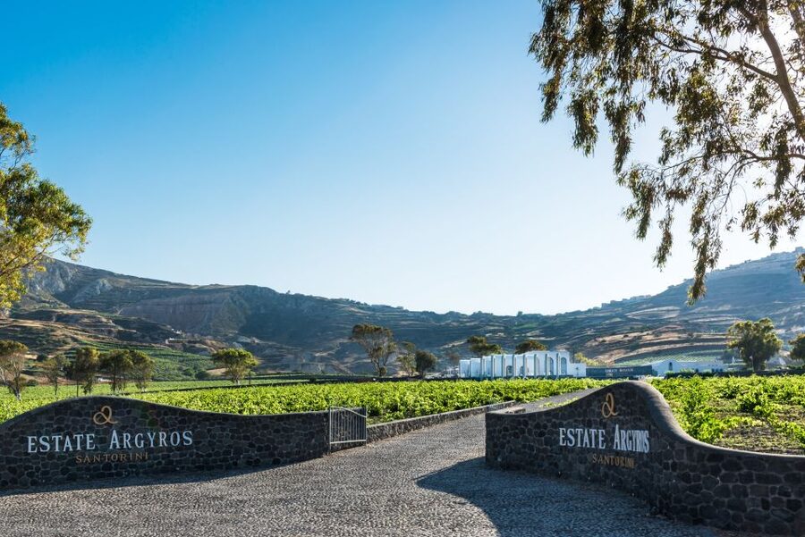 Santorini: Guided Wineries Private Tour with Wine Tastings - Stop Three: Estate Argyros, Assyrtiko, and a Polished Finish