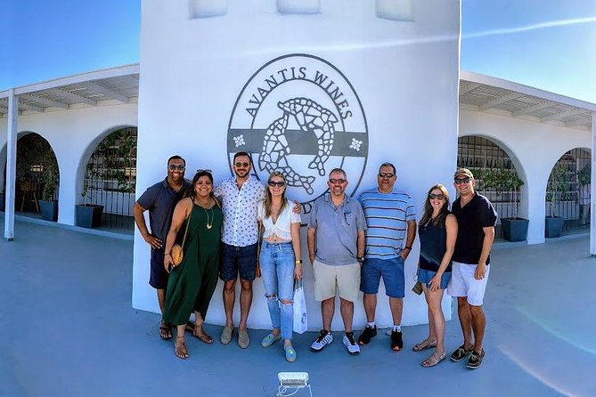 Santorini Half Day Wine Tasting & Winery Tour with Pickup - Key things to know before you go