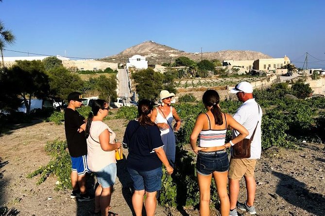 Santorini Half Day Wine Tasting & Winery Tour with Pickup - Artemis Karamolegos Winery: modern equipment, still rooted in the volcanic soil
