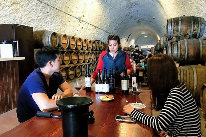 Santorini Half Day Wine Tasting & Winery Tour with Pickup - Anhydrous Cellar Door in Fira: the anhydrous-soul style of Santorini