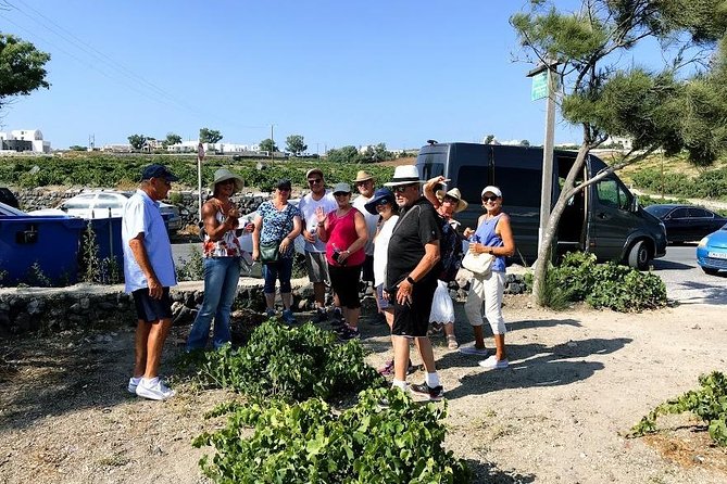 Santorini Half Day Wine Tasting & Winery Tour with Pickup - Price and value at $192.66 per person