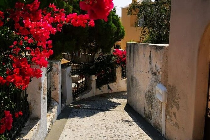 Santorini Highlights Tour 5 Hour - Oia for architecture lovers: captains’ houses and cave-house vibes