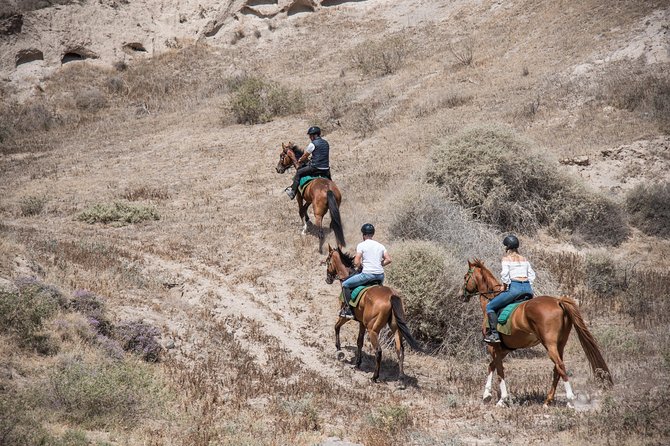 Santorini Horse Riding to Black Sandy Beach - Down to Eros black sand: riding in and out of the sea