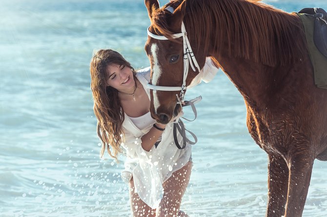 Santorini Horse Riding to Black Sandy Beach - Price and value: what about $102.79 makes sense