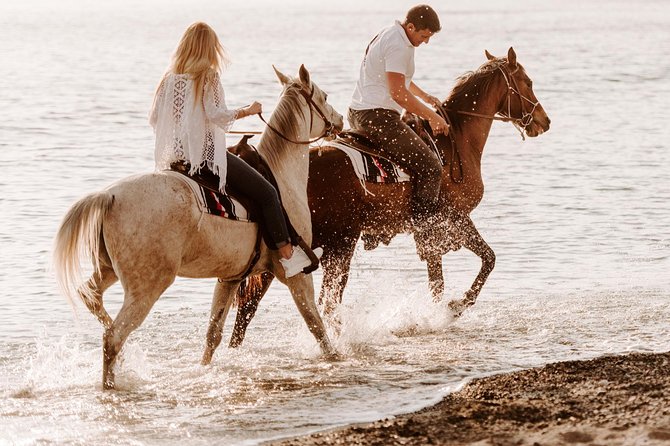 Santorini: Horse Riding to the Black Sandy Beach (Eros beach) - Arriving at Eros Beach: Black Shore, Cliff Backdrops, and What to Expect