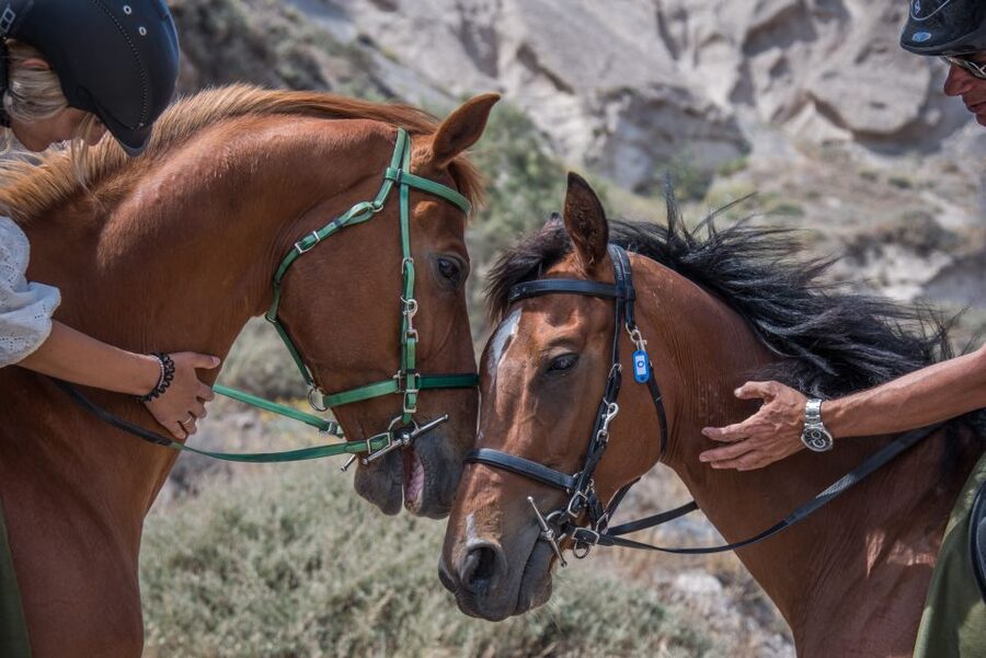 Santorini: Horse Riding Trip to Black Sandy Beach - Riding the Volcanic Black Sand Shoreline of Vlichada