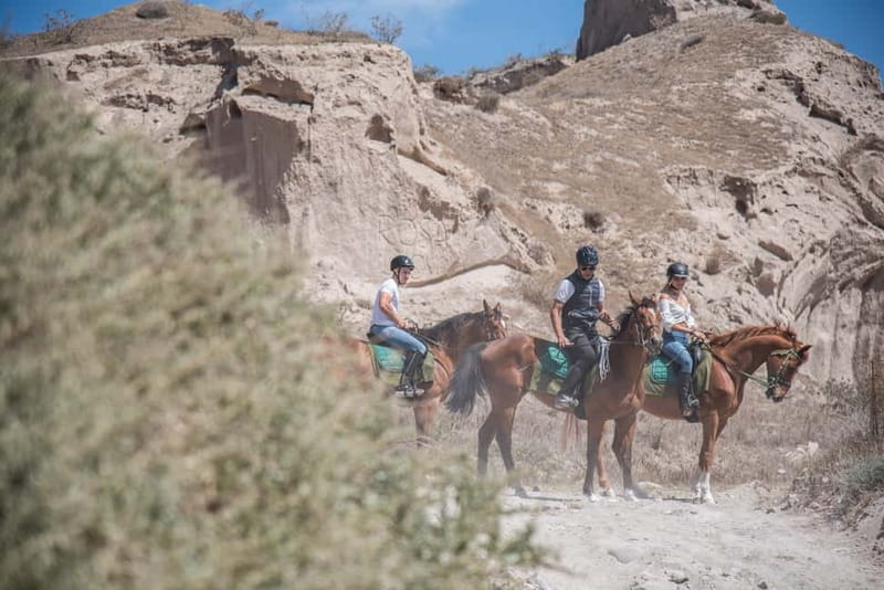 Santorini: Horse Riding Trip to Black Sandy Beach - Horses, Safety, and Who This Ride Works For