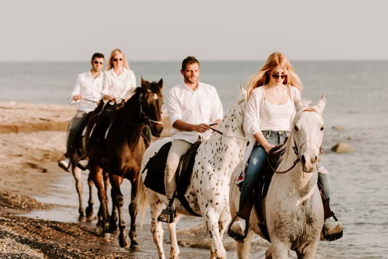 Santorini: Horseback Riding on the Black Sandy Eros Beach - Who This Santorini Horseback Tour Fits Best