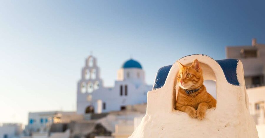 Santorini: Instagram Highlights Tour - Key photo wins in this half-day tour