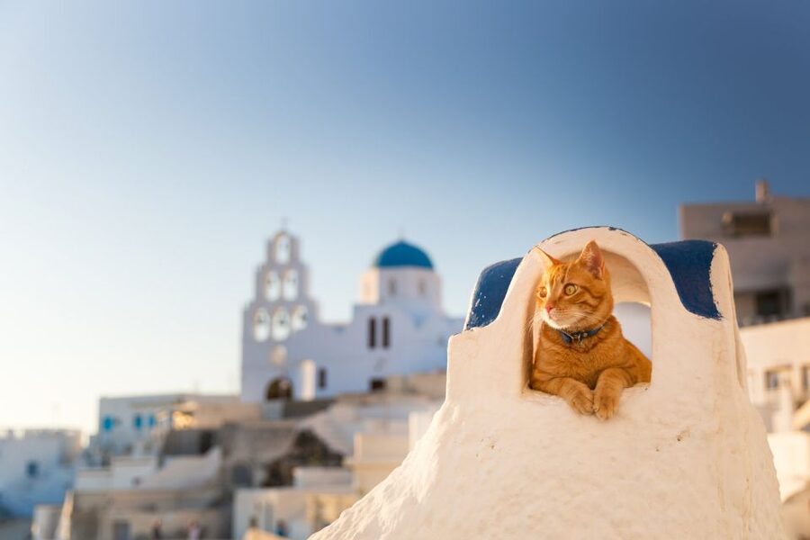 Santorini: Instagram Highlights Tour - A Photo-First Way to See Santorini in 5 Hours