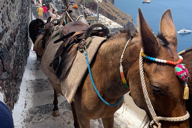 Santorini: Local Life Full Day Tour - Who This Private Tour Fits Best