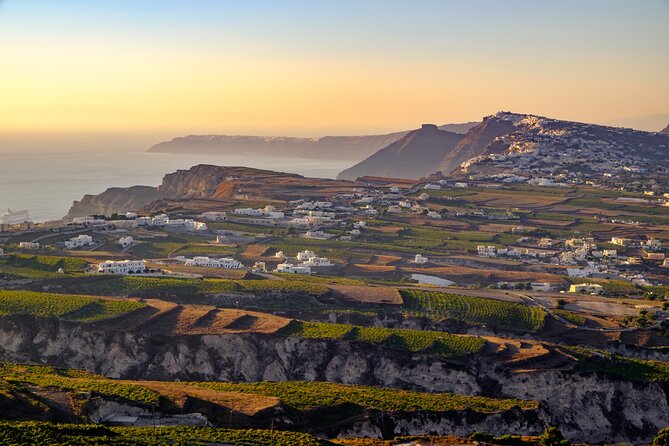 Santorini Local Wineries Tour - A late-afternoon winery plan that fits Santorini