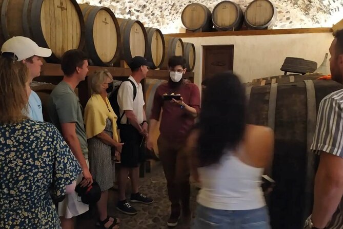Santorini: Must-See & Winery Visit Private Tour - Oia First Stop: Blue Domes and a Smooth Start