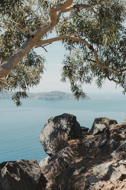 Santorini: Private 3-Hour Highlights Tour for Cruise Guests - Is the $123 Per Person Price Fair for What You Get?