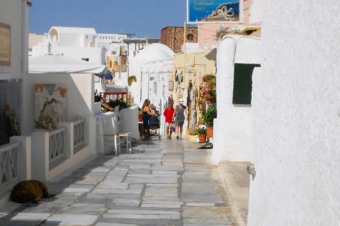 Santorini Private Custom Tour for Cruise & Hotel Guests - Profitis Ilias and Red Beach: high peak views and volcanic color