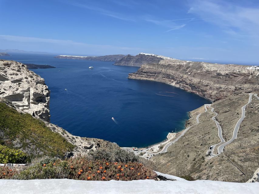Santorini Private Daytime Wine Tour with Certified Sommelier - Estate #3 choices: Hatzidakis and Estate Argyros for scale and organic-minded choices