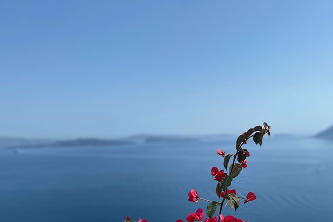 Santorini Private Highlights Tour - Winery time and optional wine tasting, how to make it worth your while