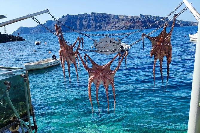 Santorini: Private Transfers From / To the Airport (JTR) - How the Pickup Works at Santorini Airport (JTR)