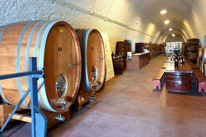 Santorini Private Wine Tasting Experience with private sommelier - Stop 1 in Santorini: Start With 12 Volcanic-Earth Labels (About 30 Minutes)