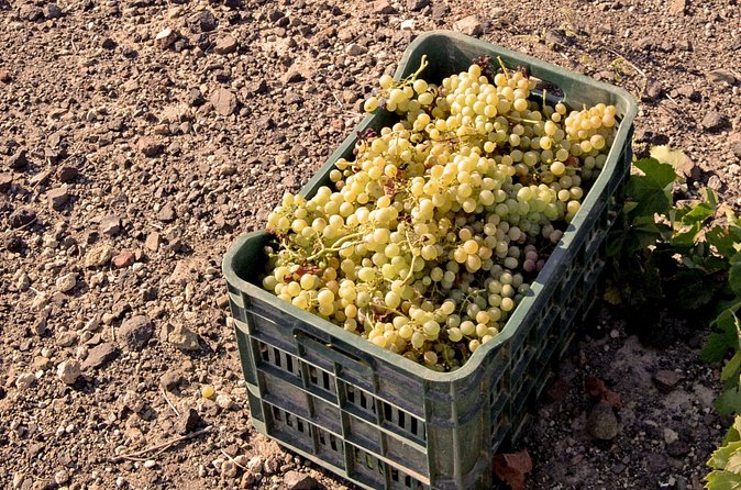 Santorini Private Wine Tour & Sunset in Oia - Oia village sunset time: using your two hours well