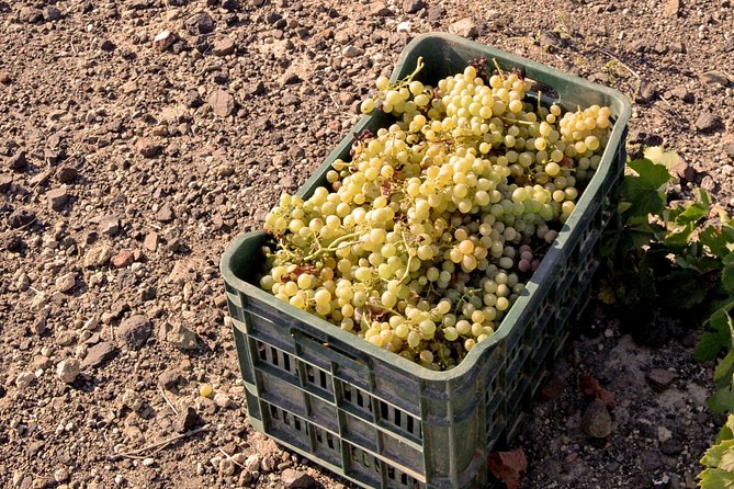 Santorini Private Wine Tour & Sunset in Oia - Wine tasting education you can actually use later