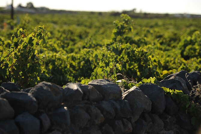 Santorini Private Wine Tour with Dinner & Oia Sunset - How This Private Santorini Wine Tour Really Works